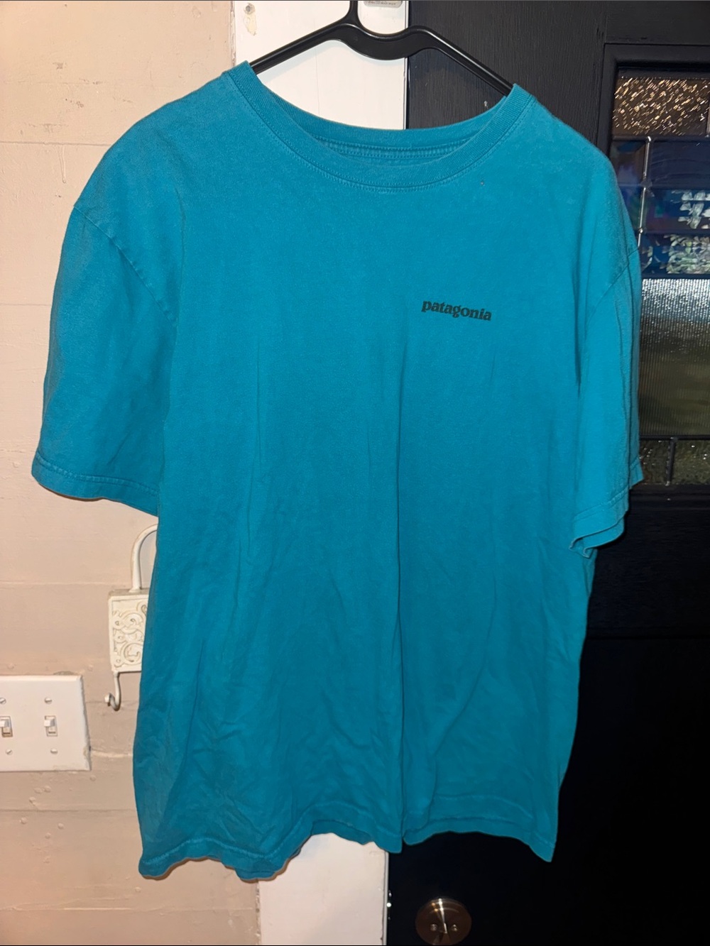 Patagonia Short-Sleeve Crew Tee in Teal Blue L